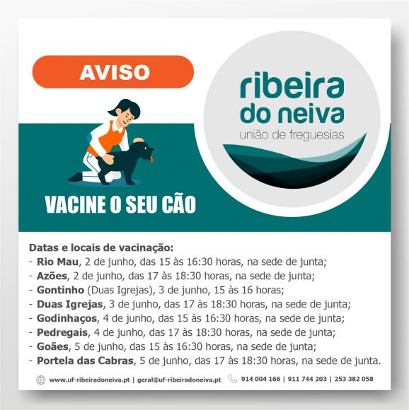 VACINAÇÃO ANTIRRÁBICA VACINAÇÃO ANTIRRÁBICA